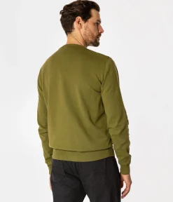 Sweter męski z bawełny organicznej ANDY ORGANIC SPHAGNUM